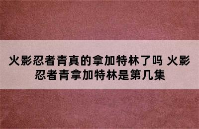 火影忍者青真的拿加特林了吗 火影忍者青拿加特林是第几集